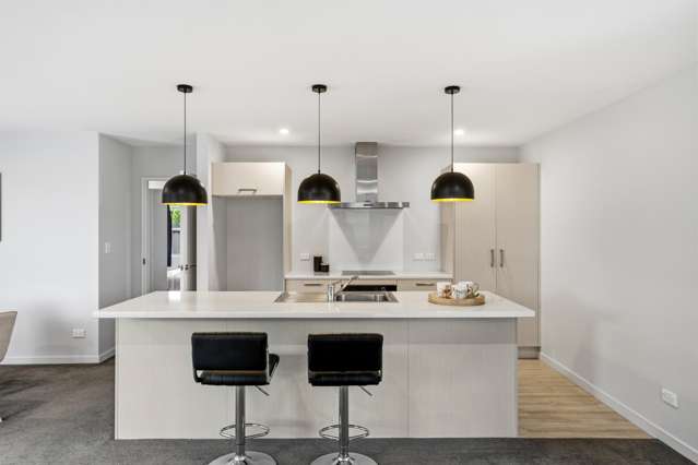 199 Brookside Road Rolleston_3