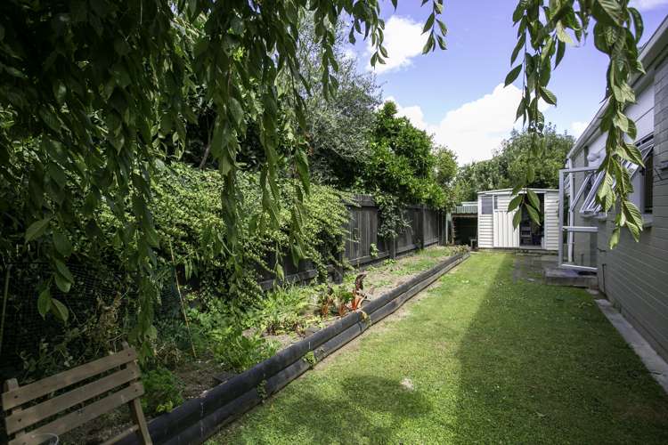 50b Williams Street Cambridge_16