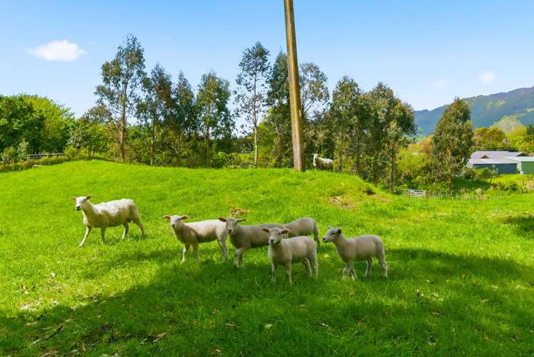 340D Ngarara Road Waikanae_28