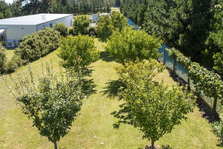 80 Priors Road Fernside_14