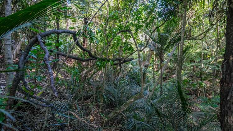 412 Larmer Road Kaitaia_22