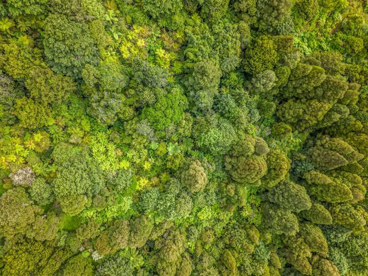 1733 Ararimu Road Hunua_26