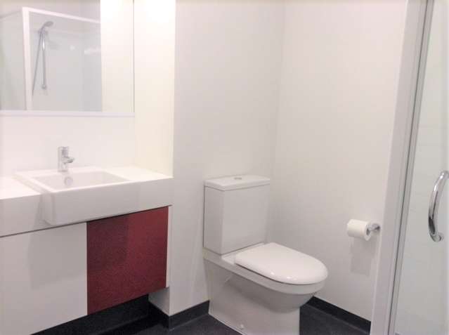 409/5 Dundonald Street 10021_3