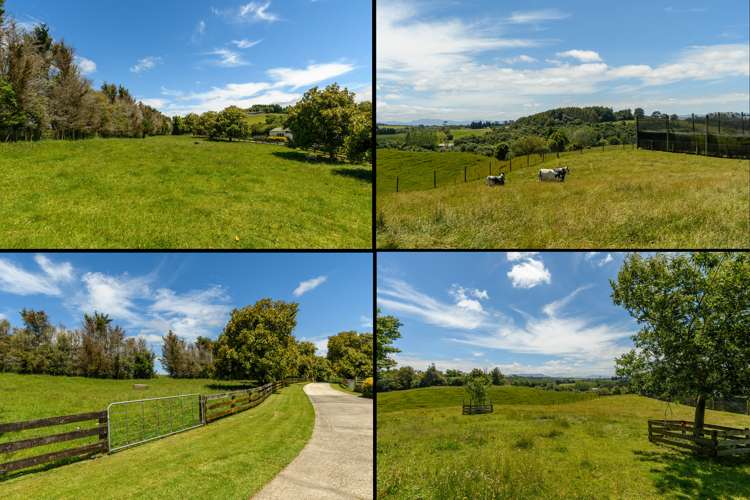 106e Leyland Road Whakamarama_21