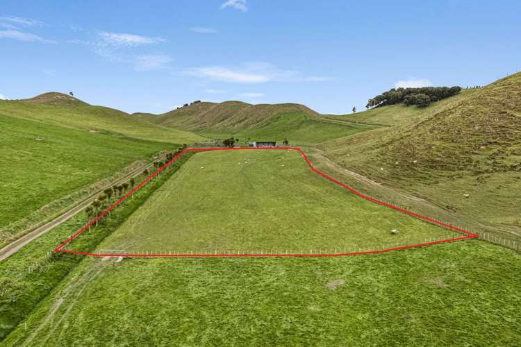 246 Hopelands Road Woodville_11