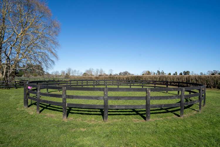 146 French Pass Road Cambridge_19