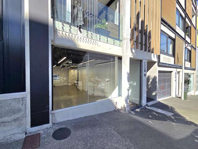 G02/12 Vinegar Lane, Grey Lynn, Auckland Grey Lynn_1