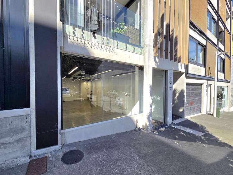 G02/12 Vinegar Lane, Grey Lynn, Auckland Grey Lynn_1