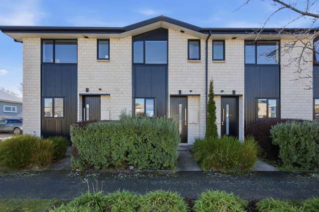 411A Armagh Street Linwood_1