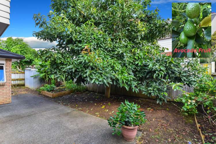 61a Landscape Road Papatoetoe_8