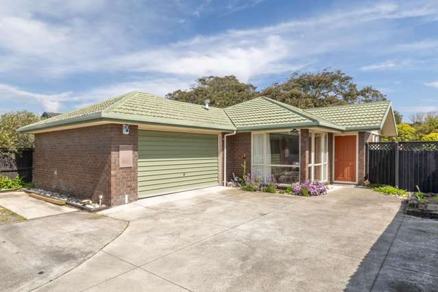 200a Estuary Road South New Brighton_1