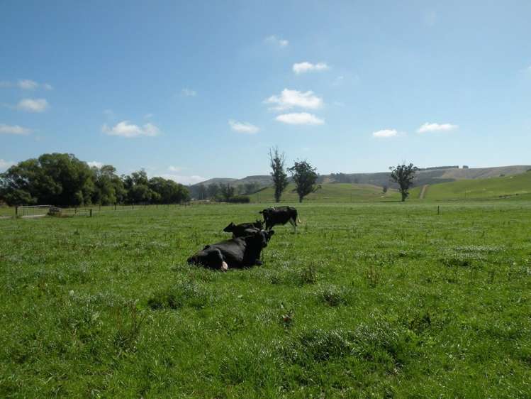 432 Flag Swamp Road Flag Swamp_16