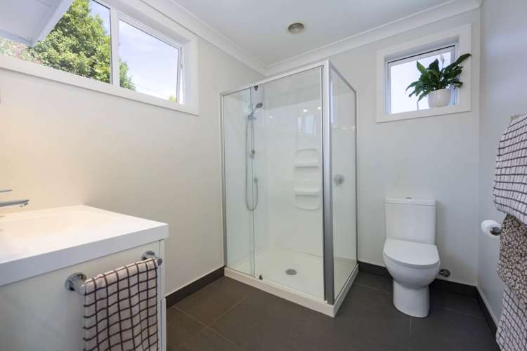 119 Hutchinson Avenue New Lynn_14