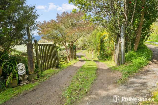 214 Park Road Belmont_3