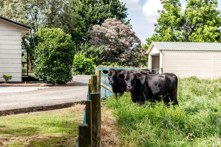 112A Hallett Road Otakiri_17
