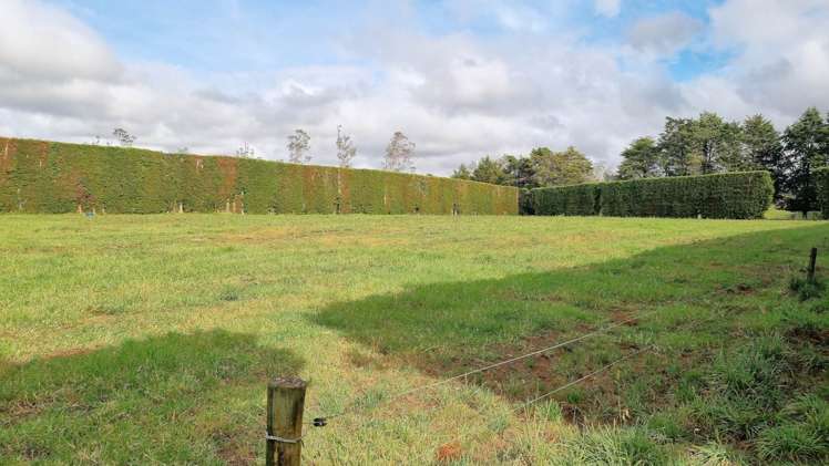 217 Waipapa West Road Kerikeri Surrounds_8