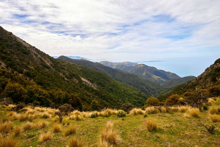 20 Moana Road Kaikoura_31