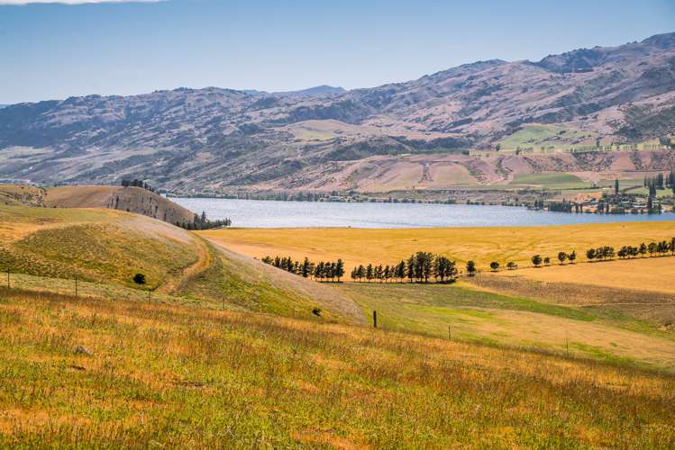 172 Burn Cottage Road Cromwell_10