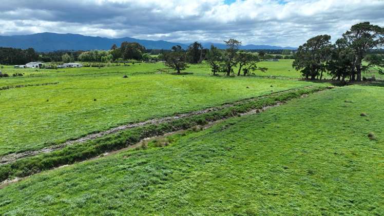 Duddings Line Tauherenikau_7