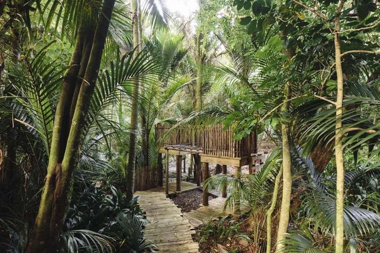 57 Portland Road Remuera_15