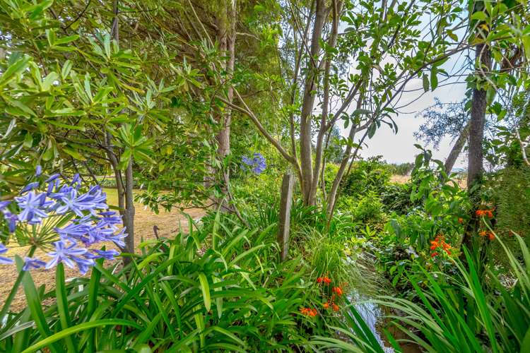 30 West Street Greytown_24