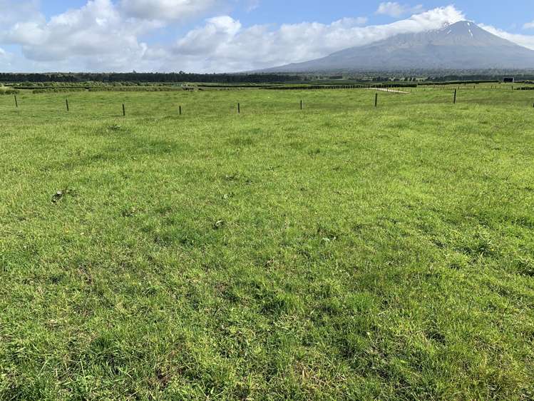 2372 Opunake Road Awatuna_25