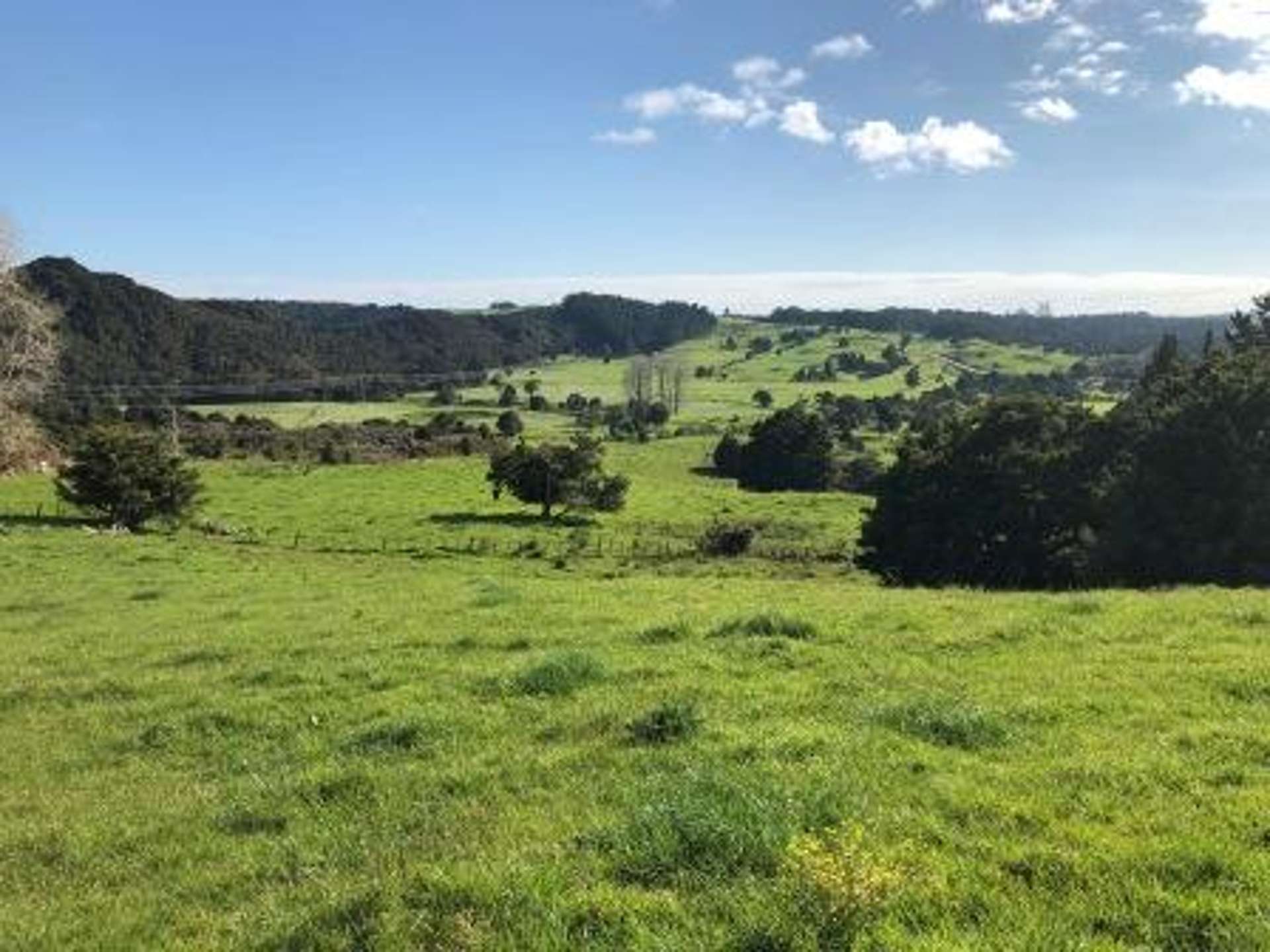 Whakataha Road Waimate North_0