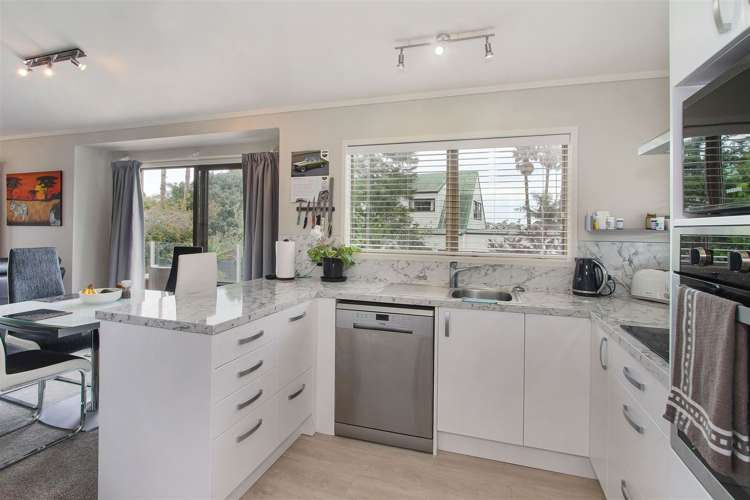 29 Taihiki Road_4