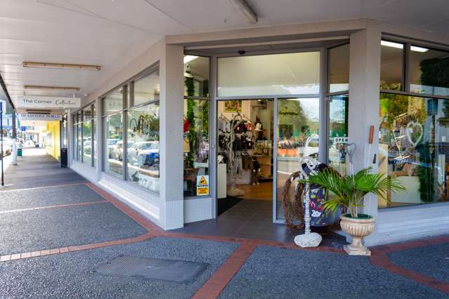 54 Clive Square East Napier South_1