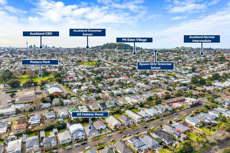 22 Halston Road Mt Eden_21