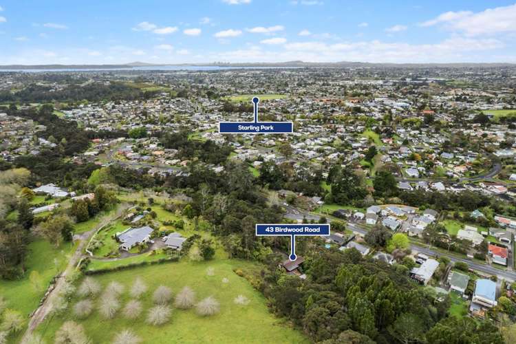 43 Birdwood Road Swanson_19