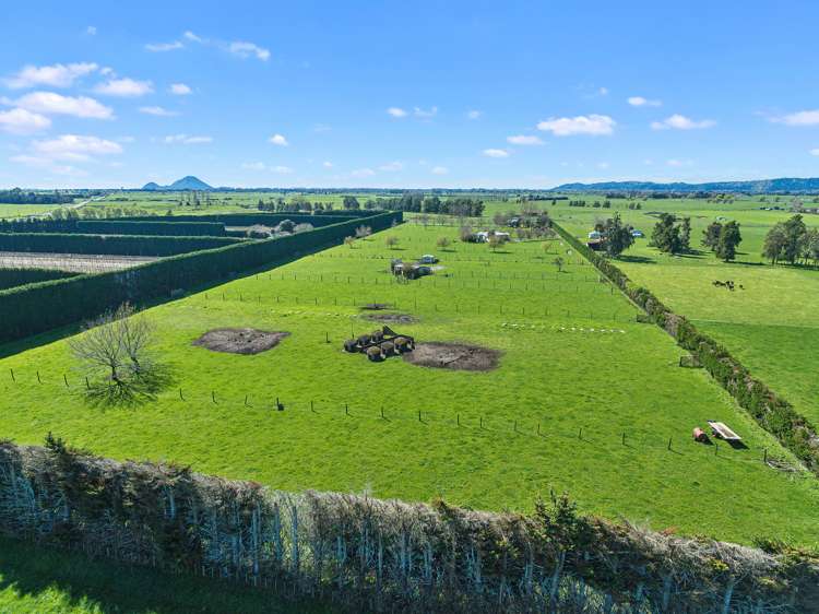 157a Angle Road Whakatane_4