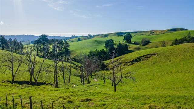 1658 Ruapekapeka Road Kawakawa_2