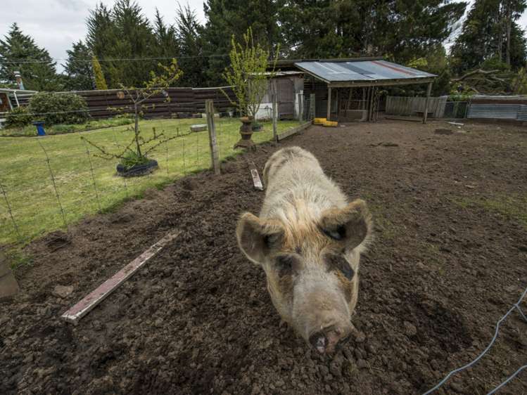 456 State Highway 49 Tangiwai_19