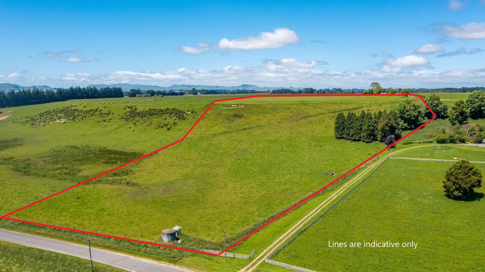 375 Snee Road Takapau_0