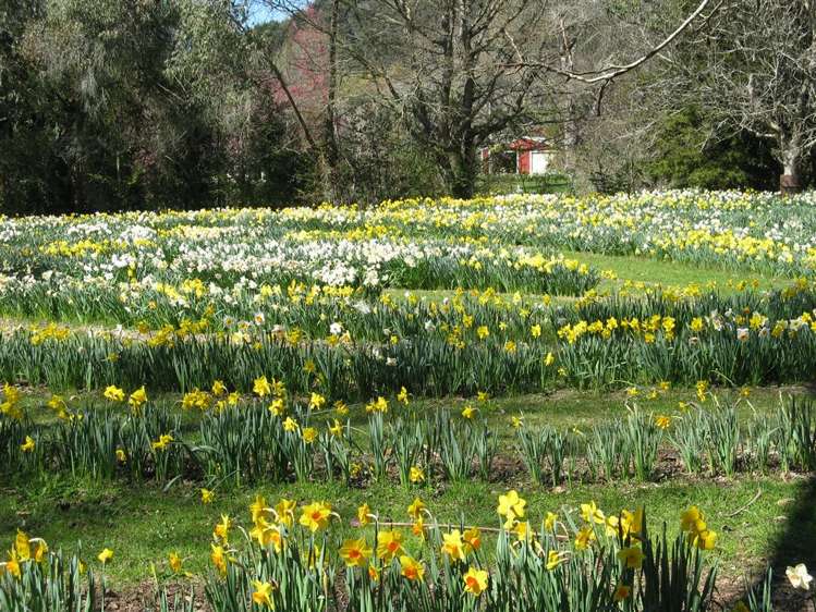 26 Greenhill Road Ngatimoti_39