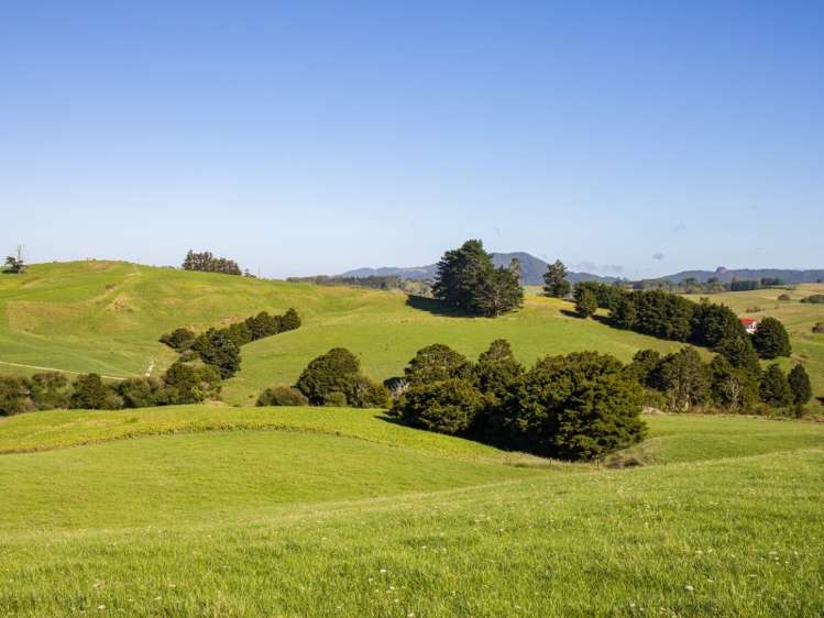 450a Settlement Road Kaiwaka_3