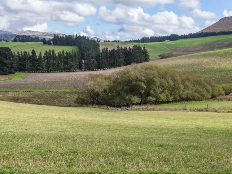 94 Weka Pass Road Waipara_20