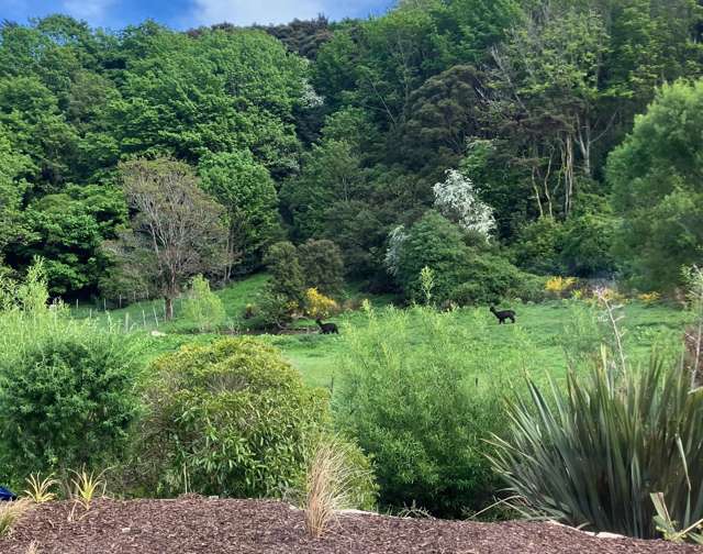 151B Norwood Street Normanby_1