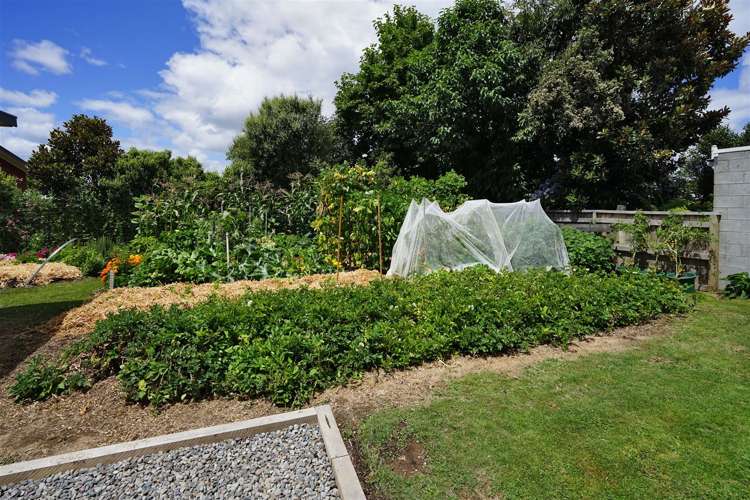 47 Queenwood Avenue Queenwood_15