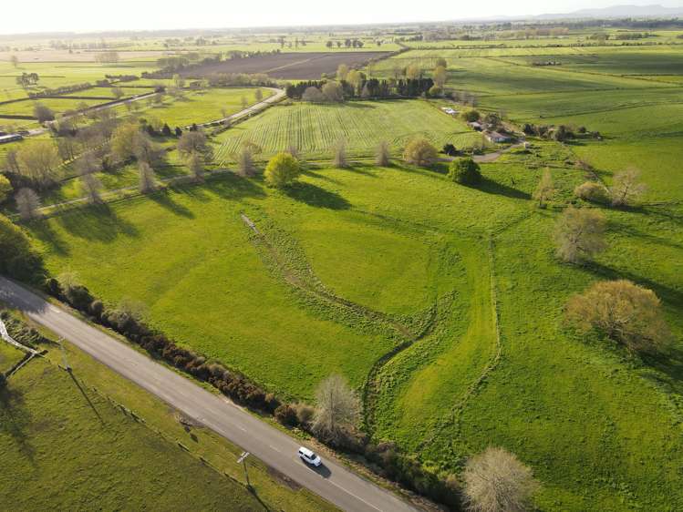 927 Tauwhare Road Pukemoremore_6