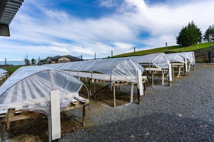 413 Otaika Valley Road Otaika_23