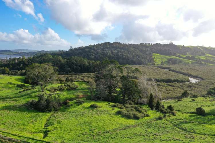 60 Te Pahi River Drive Paparoa_6