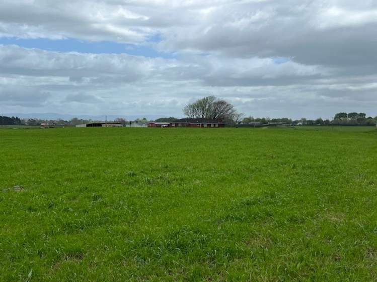 53 Kidd Road Karaka_10