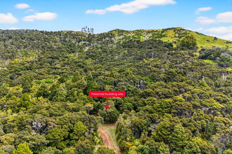 495 Rahuikiri Road Leigh_10