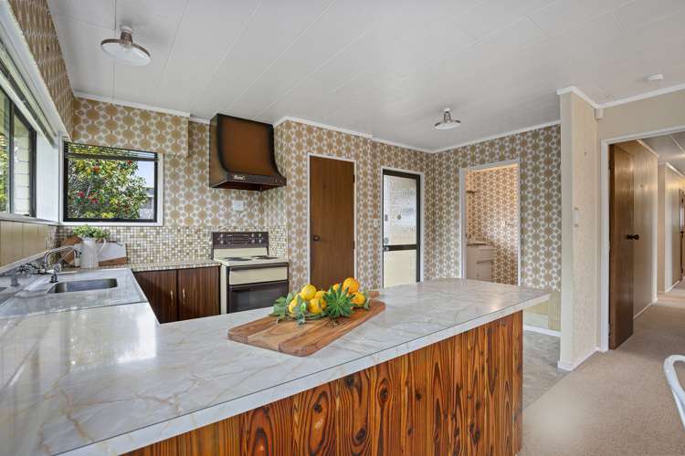 37 Seales Road Morrinsville_9