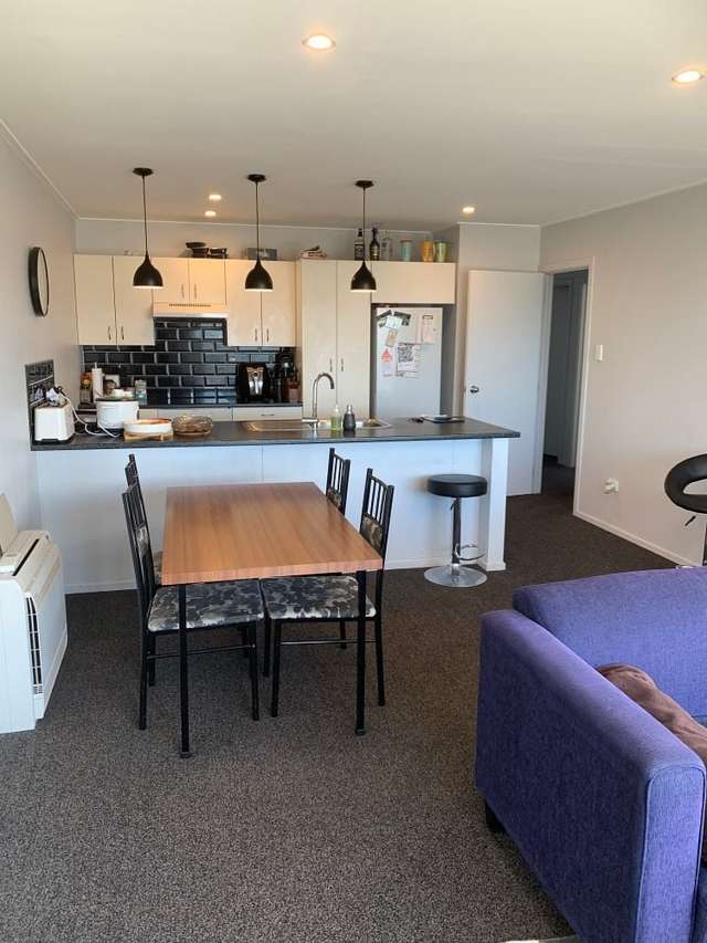 36 Maitland Street Dunedin Central_3