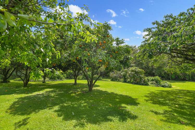 44 and 46 Takinga Street Mourea_29