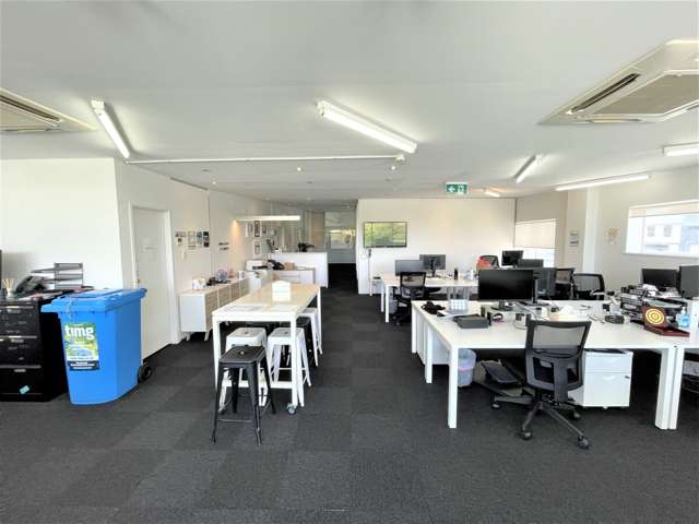 17 Falcon Street Parnell_2