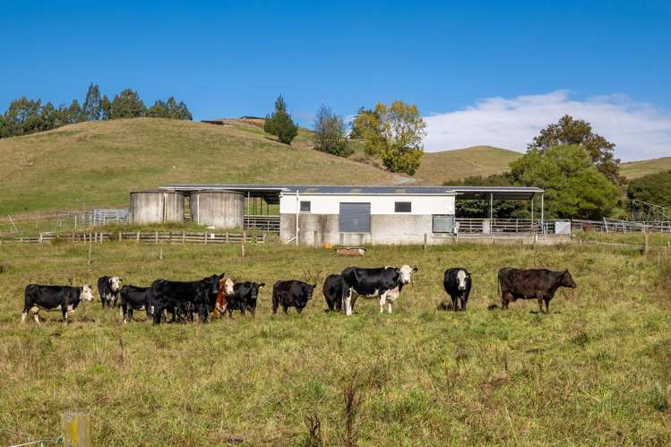 229 Teapot Valley Road Brightwater_11